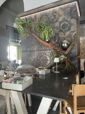   at Buddy VEGGY in Rome