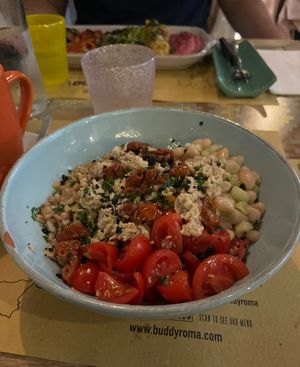   at Buddy VEGGY in Rome