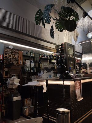 The bar at Buddy VEGGY in Rome