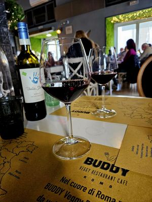 Organic red wine at Buddy VEGGY in Rome