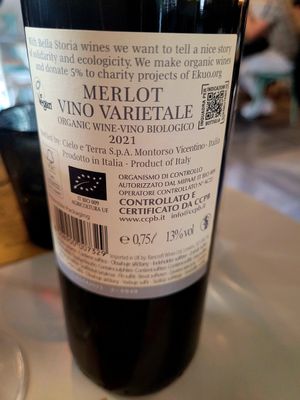 Merlot at Buddy VEGGY in Rome