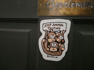  at Buddy VEGGY in Rome