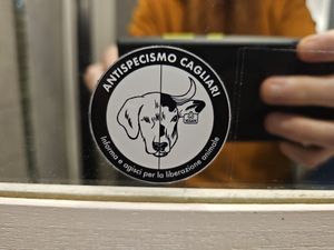  at Buddy VEGGY in Rome