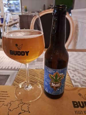 Organic beer at Buddy VEGGY in Rome