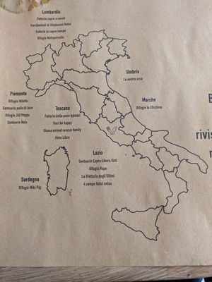 Animal sanctuaries in Italy at Buddy VEGGY in Rome