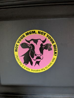 Love their animal stickers at Buddy VEGGY in Rome