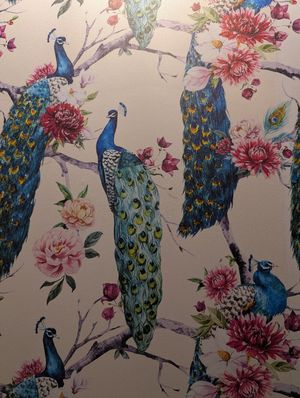 Fabulous view in the loo! at Buddy VEGGY in Rome