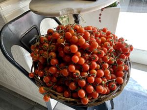 inside at Buddy VEGGY in Rome