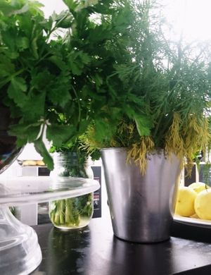 Herbs and spices and all things nices  at Oh My Goodness in Eastbourne