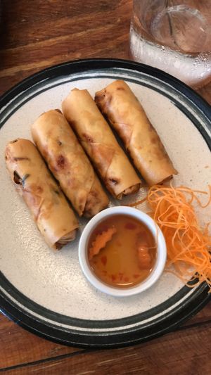 Spring rolls at Golden Lotus Vegan in Newtown