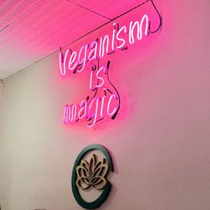 Duck bai  at Golden Lotus Vegan in Newtown