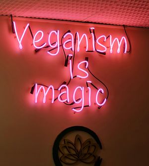  at Golden Lotus Vegan in Newtown