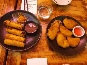 Saigonese Fried Spring Rolls $9.80; Eggplant Fritters $9.80 at Golden Lotus Vegan in Newtown