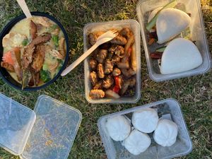 V Duck Pancakes, Vegetable Buns, and I forget what else... at Golden Lotus Vegan in Newtown