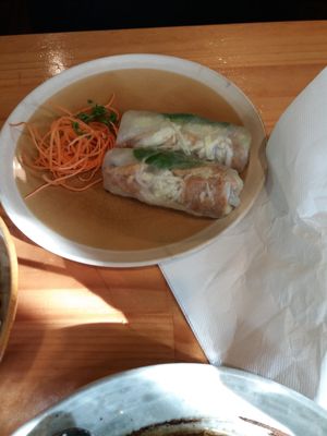 Spring rolls at Golden Lotus Vegan in Newtown