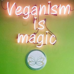 Veganism is Magic at Golden Lotus Vegan in Newtown