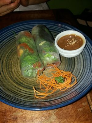 summer rolls at Golden Lotus Vegan in Newtown