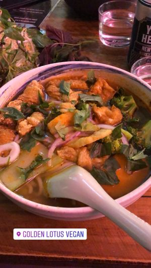 Spicy tofu vegetable noodle soup at Golden Lotus Vegan in Newtown