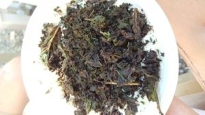 choco kale musli  at Art of Raw at The Garden Lounge in Zadar