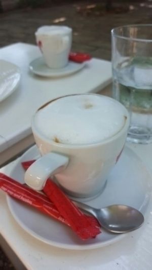 must specify VEGAN cappuccino. the bar does have dairy milk and made our cappuccinos with it. we noticed the taste seemed off, so we asked and they made them again with non dairy milk. it seems odd that they wouldn't automatically make them vegan.  at Art of Raw at The Garden Lounge in Zadar