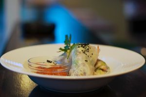 spring rolls at Art of Raw at The Garden Lounge in Zadar