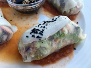 spring rolls  at Art of Raw at The Garden Lounge in Zadar