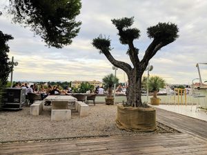 Outdoor garden  at Art of Raw at The Garden Lounge in Zadar