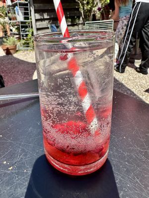 Mint and pomegranate homemade soda   at Domburgsche Bier en Melksalon in Domburg