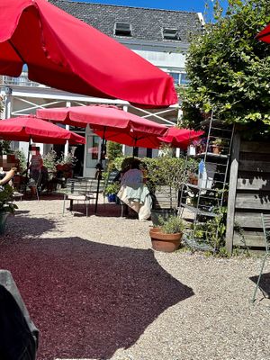 Terrace in the back  at Domburgsche Bier en Melksalon in Domburg