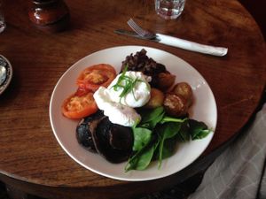 Big Vege Breakfast at Dog With Two Tails in Dunedin