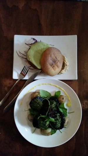 Falafel Burger / Mushroom Stack at Dog With Two Tails in Dunedin