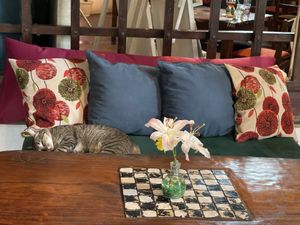   at Green Room Cafe in Jaco