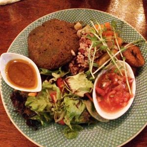 vegan falafel casadito at Green Room Cafe in Jaco