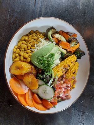 Vegan Garden bowl 8500 Colones at Green Room Cafe in Jaco