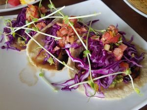 Vegan tacos at Green Room Cafe in Jaco