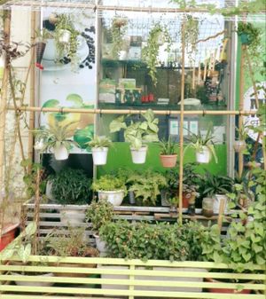 lovely  at Hieu Sinh Vegetarian Restaurant in Hanoi