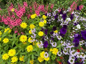  at 2 Cats Cafe in Bar Harbor