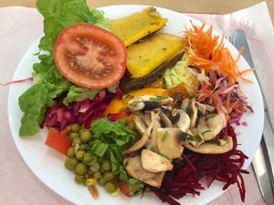 Lentil and polenta roll, parmigiana tofu and mixed salad  at Sabores Naturais in Seixal