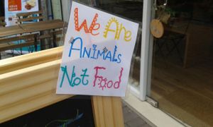 7 at Om Sweet Home in New Territories