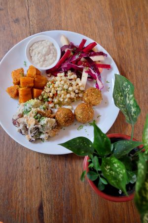 Falafel in Love (vegan) at Haven in Siem Reap