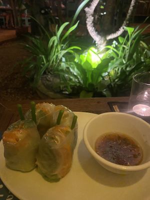 Fresh spring rolls   at Haven in Siem Reap
