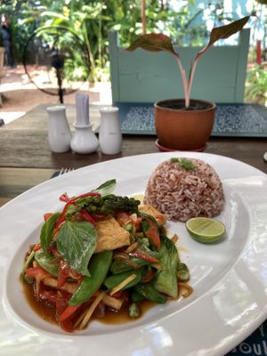 Vegetable ginger tofu dish  at Haven in Siem Reap