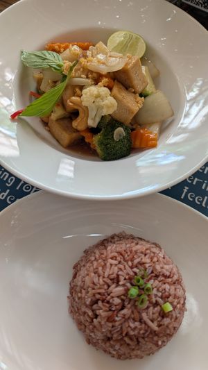 Cashew tofu with vegetables at Haven in Siem Reap