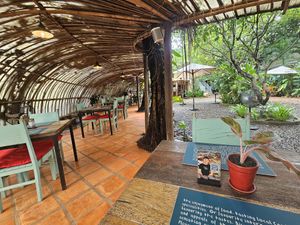 The yard at Haven in Siem Reap