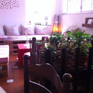 the place at Beware of the Cat in Cimadevilla