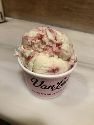 Pina colada   at Van Leeuwen Ice Cream - Manhattan Ave in Brooklyn