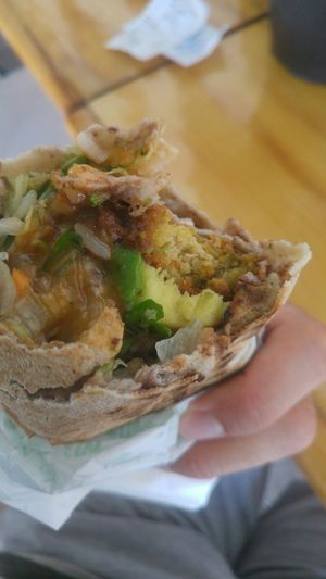 Mexican falafel burrito at Falafel in Guadalajara