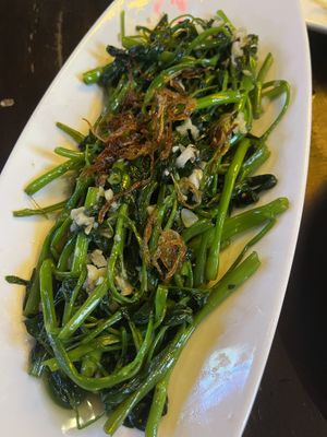 Morning glory  at Red Chilli in Hue