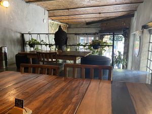 Muchas plantitas 💕  at FOREVER in Mexico City