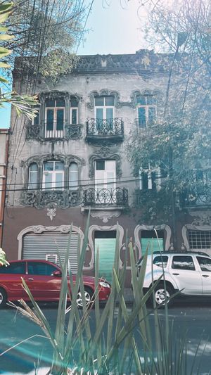  #Veganuary at FOREVER in Mexico City